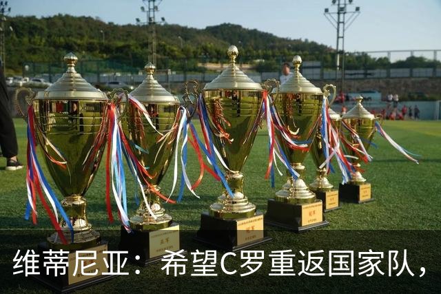 维蒂尼亚：希望C罗重返国家队，愿一切问题得到妥善解决