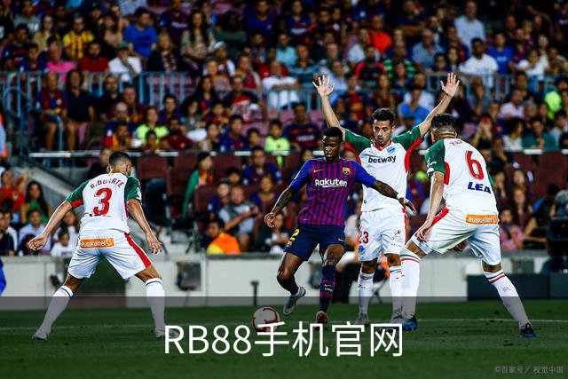 RB88手机官网 公司简介